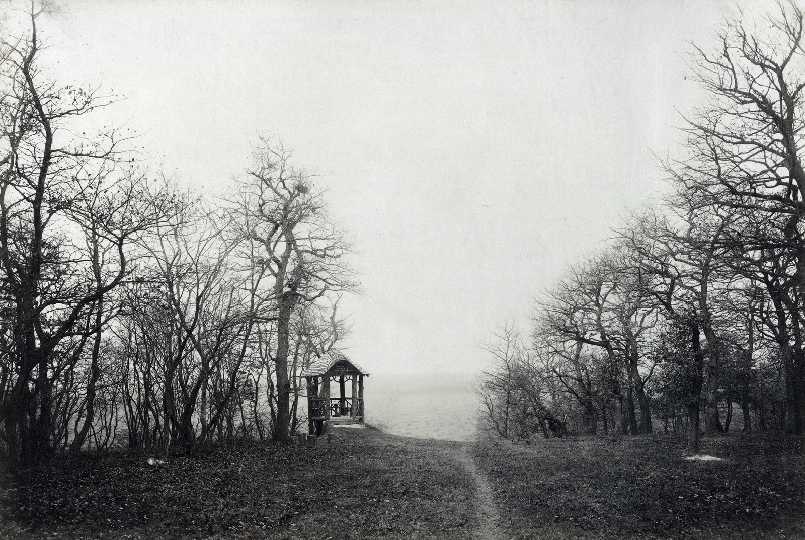 Hungary, Sopronhorpács, Széchényi Dénes gróf horpácsi kastélyának parkja. A felvétel 1895-1899 között készült. A kép forrását kérjük így adja meg: Fortepan / Budapest Főváros Levéltára. Levéltári jelzet: HU.BFL.XV.19.d.1.12.152, 1900, Budapest Főváros Levéltára / Klösz György fényképei, Klösz György, Fortepan #83456