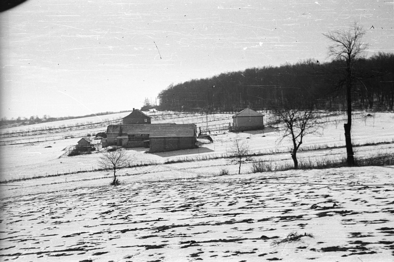 Hungary, Budapest XII., Konkoly-Thege Miklós út 20. és 22., 1945, Ebner, Budapest, snowy landscape, house, woods, Fortepan #83613