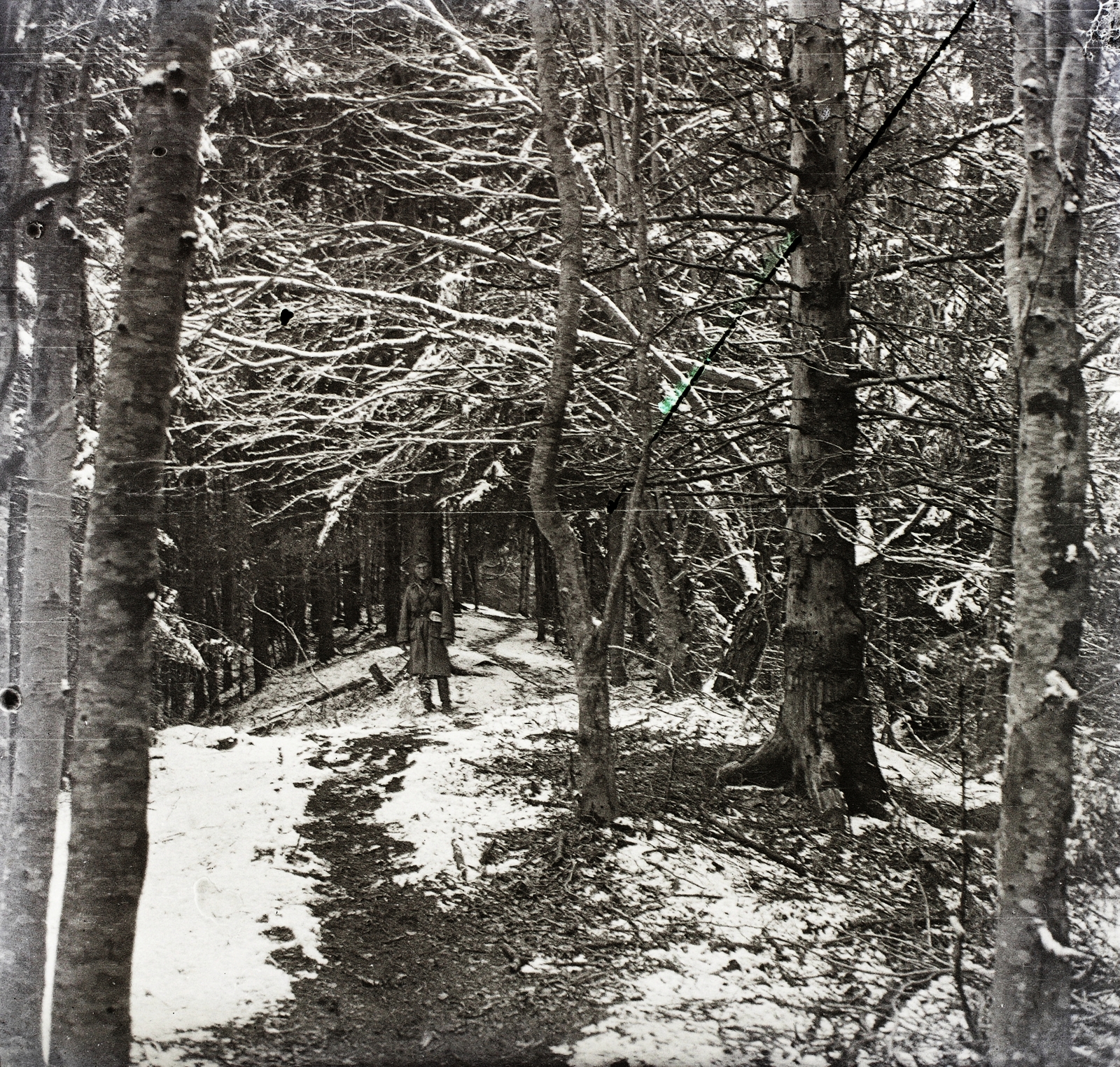 Románia,Erdély, 1917, Ebner, Fortepan #83663