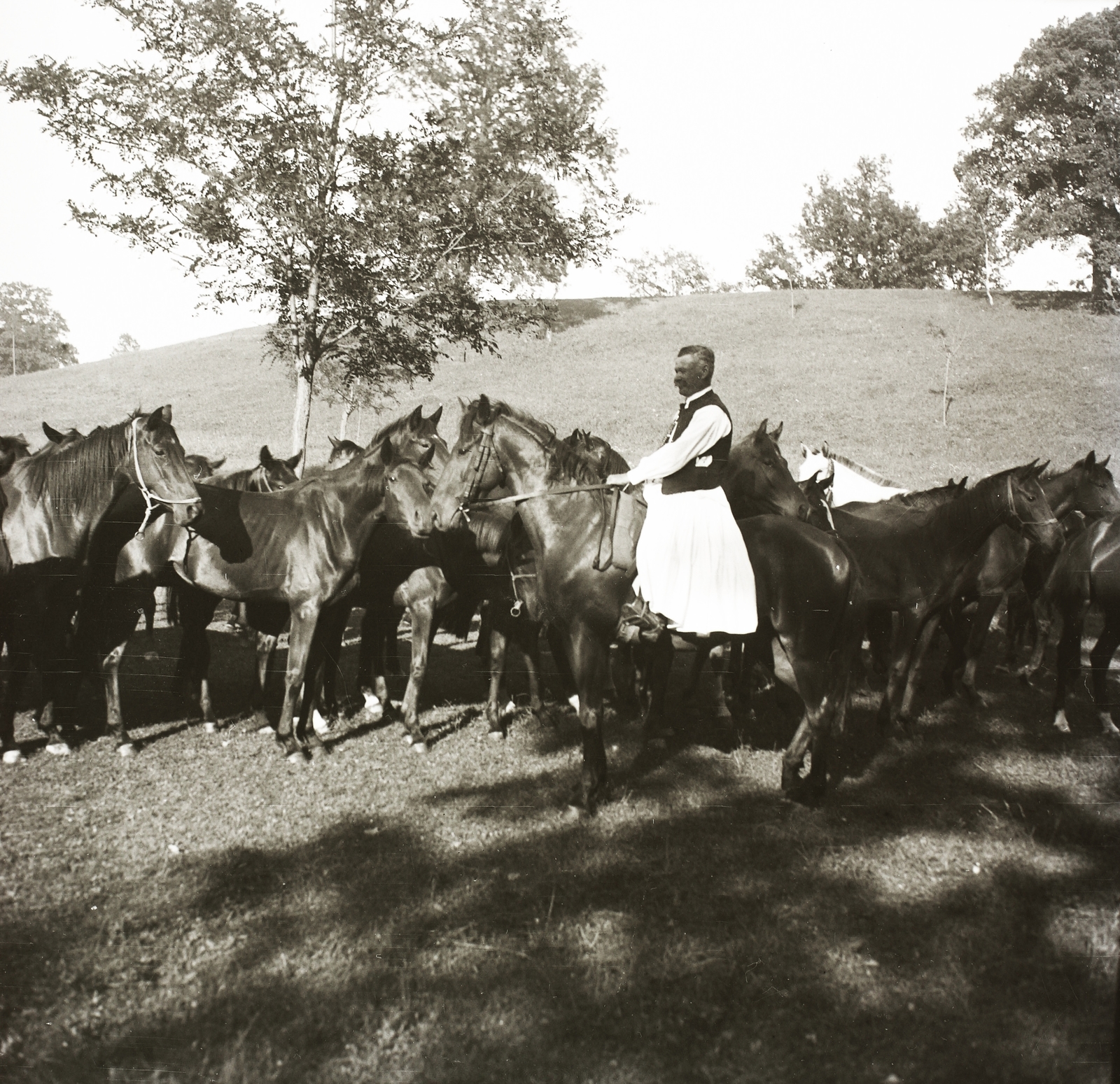 1932, Ebner, horse, wrangler, herd, pants, Fortepan #83716