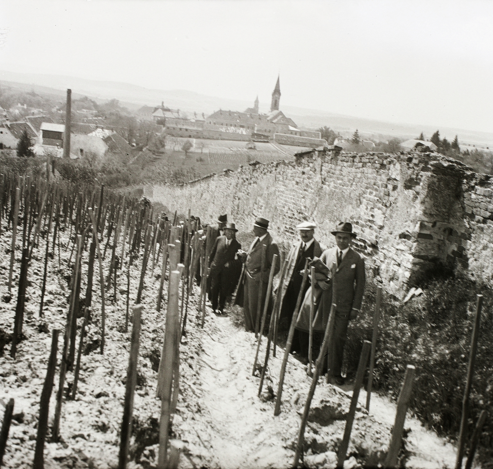 Hungary, Mór, a város látképe a Hársfa utca fölötti szőlőkből, háttérben a Szent Kereszt templom és a Szentháromság templom., 1932, Ebner, tableau, men, view, vine, brick fence, Fortepan #83718