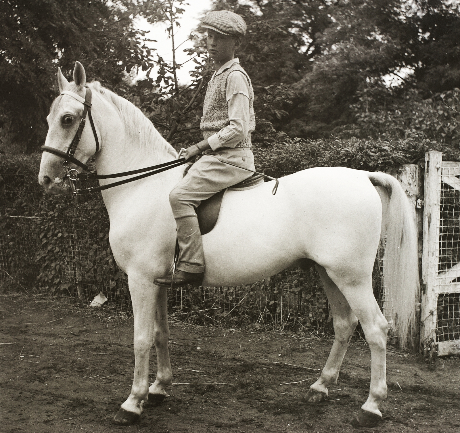 1935, Ebner, horse, boy, saddle, Fortepan #83773