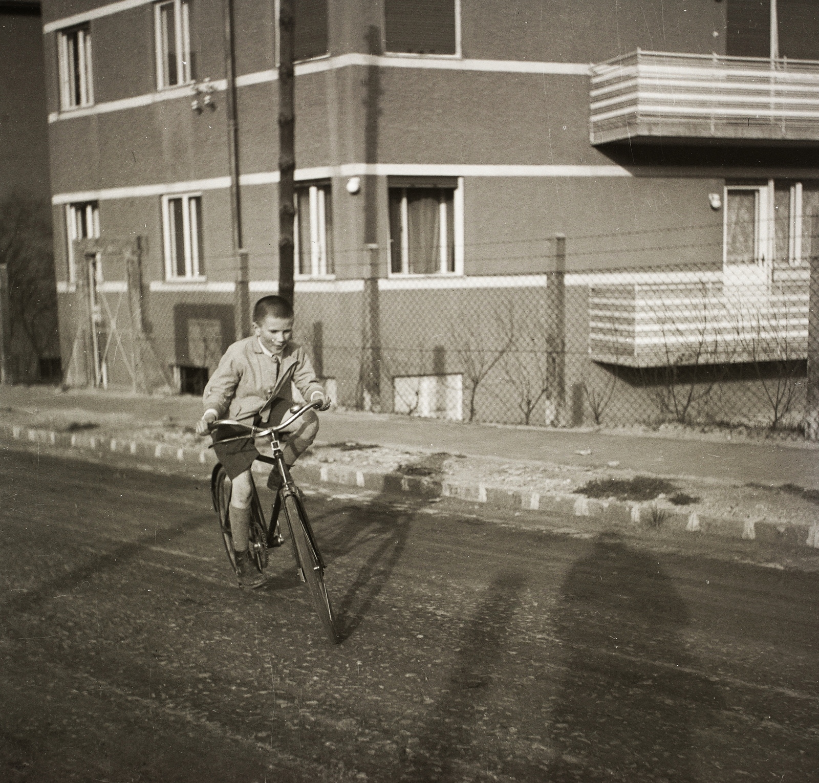 1935, Ebner, bicycle, boy, Fortepan #83781