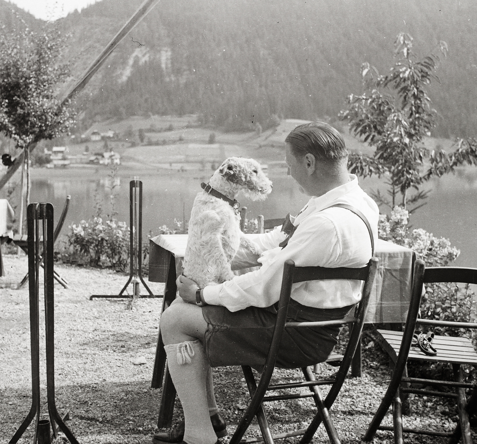 Austria, Naggl, Weissensee., 1939, Ebner, dog, lake, Fortepan #83877