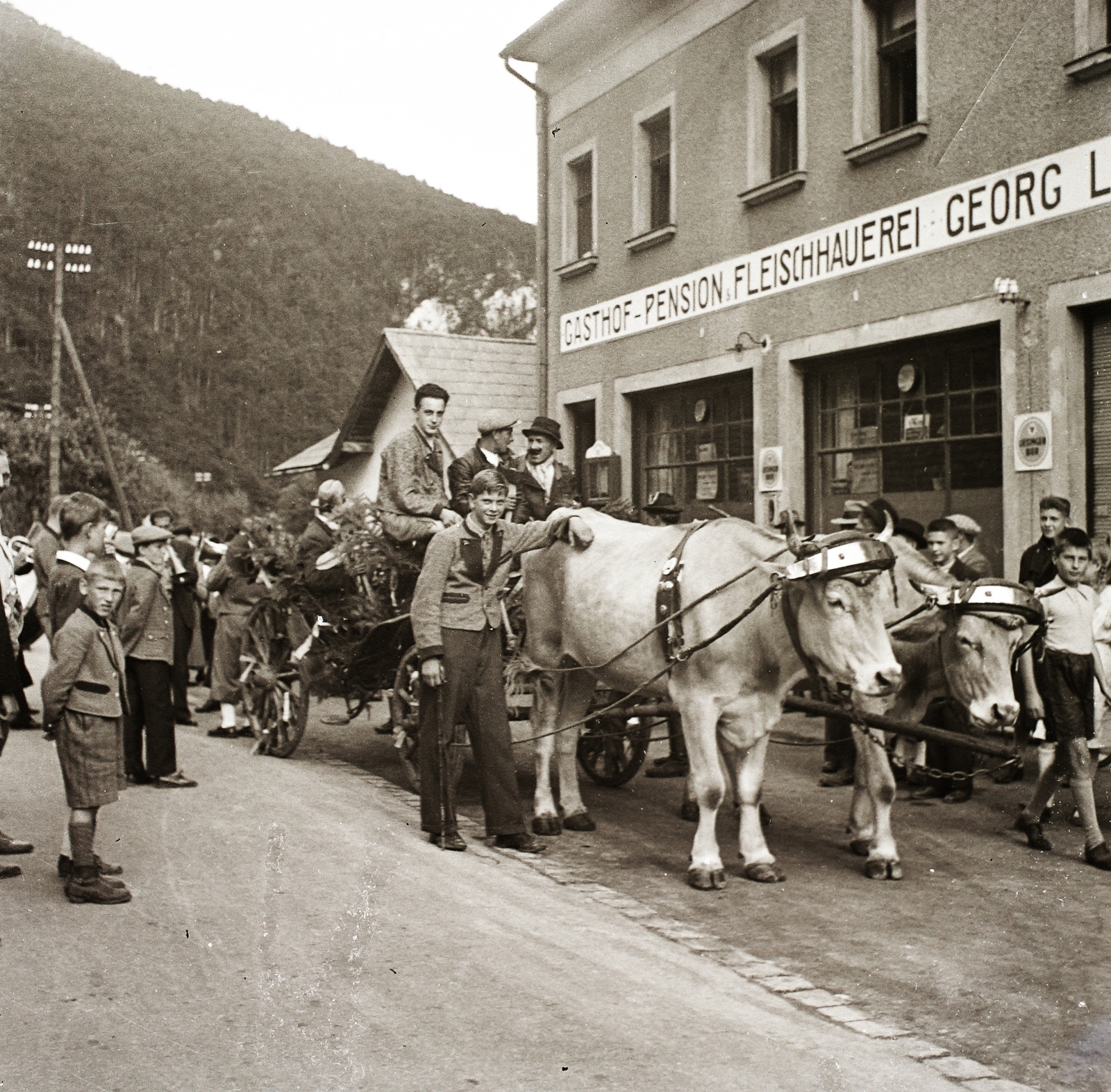 1939, Ebner, cattle, Fortepan #83953