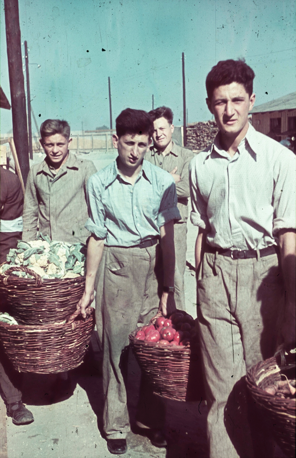 Szerbia, Belgrád, a Besszarábiából menekített német nemzetiségűek átmeneti tábora., 1940, Fortepan, színes, menekült, vesszőkosár, zöldség, Fortepan #84030