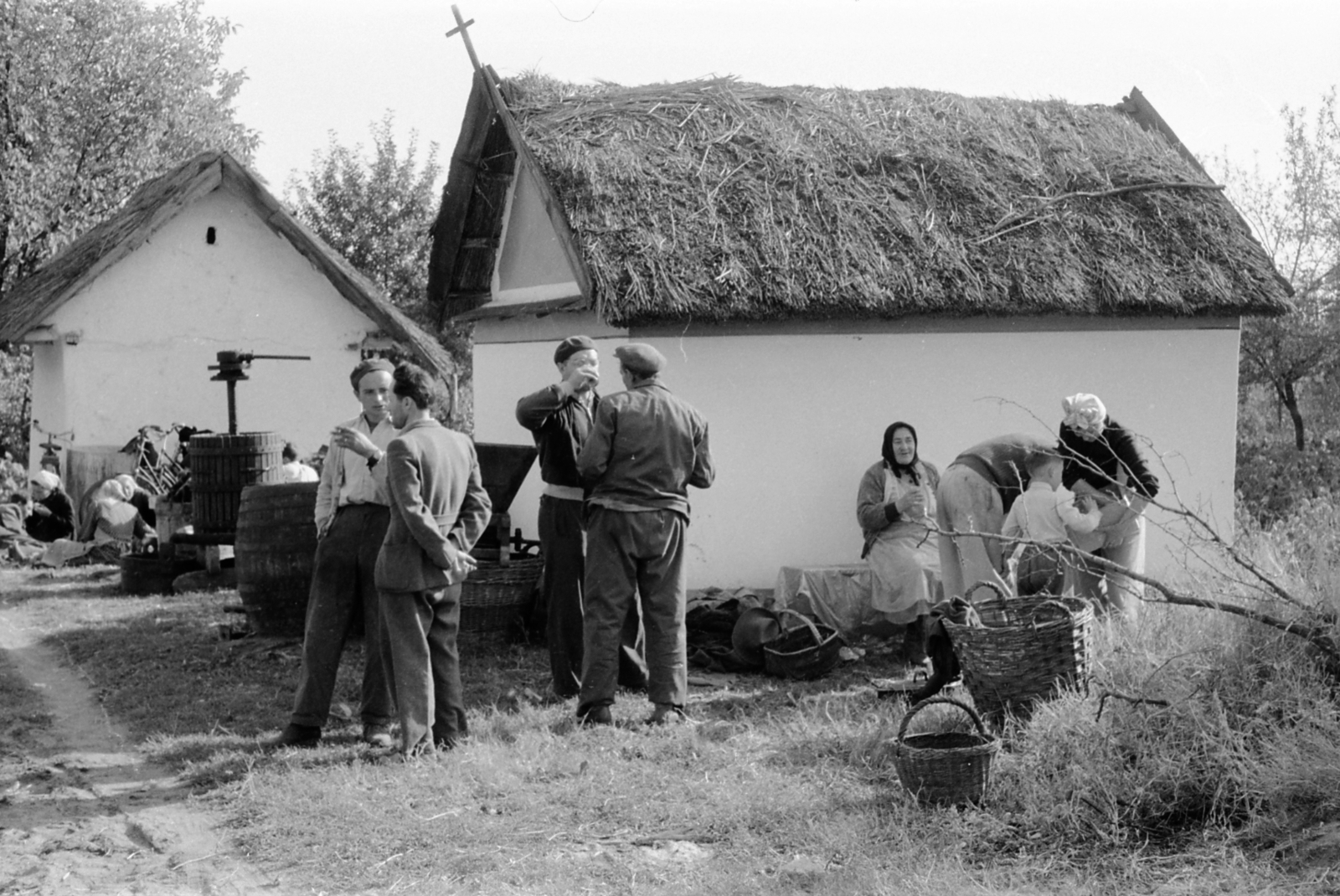 1958, Morvay Kinga, Morvay Lajos, harvest, barrel, grinder, wine press, press house, thatched roof, Fortepan #84293