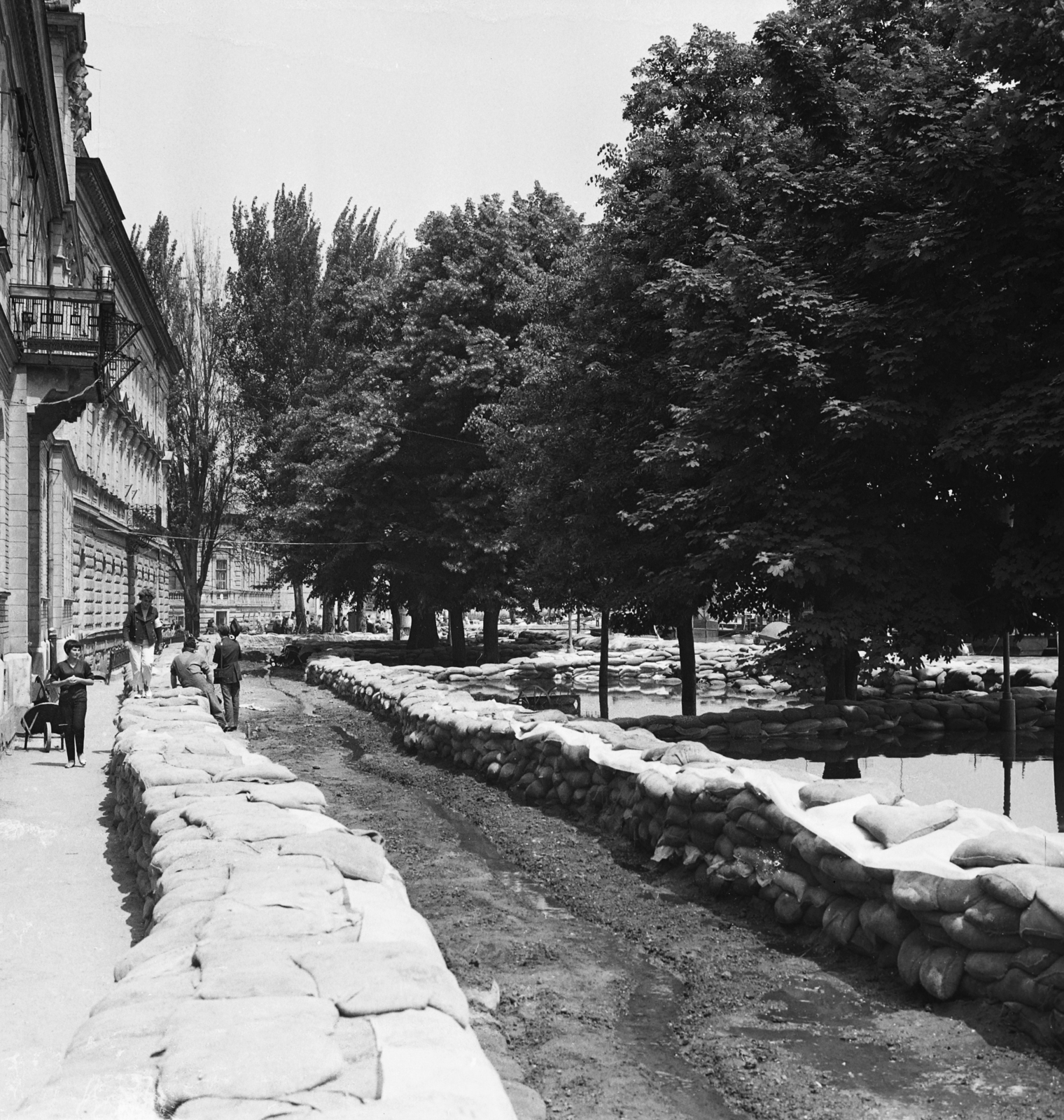 Magyarország, Szeged, Tisza-part a Körösy József Gazdasági Szakképző Iskola előtt, mögötte a Belvedere palota. A felvétel az 1970. évi tavaszi árvízkor készült., 1970, MHSZ, árvíz, homokzsák, Fortepan #84575