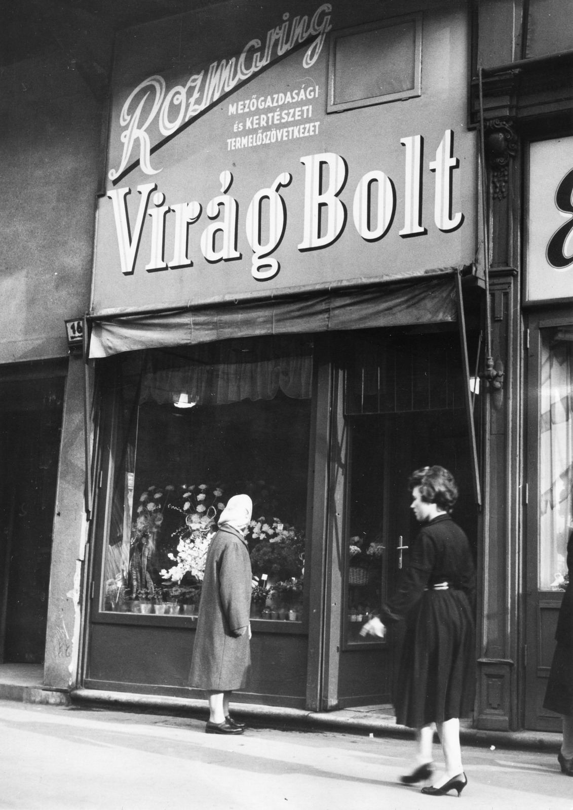 Hungary, Budapest VIII., József körút 16., 1961, Magyar Hírek folyóirat, Show window, sign-board, florist, Budapest, Fortepan #84669