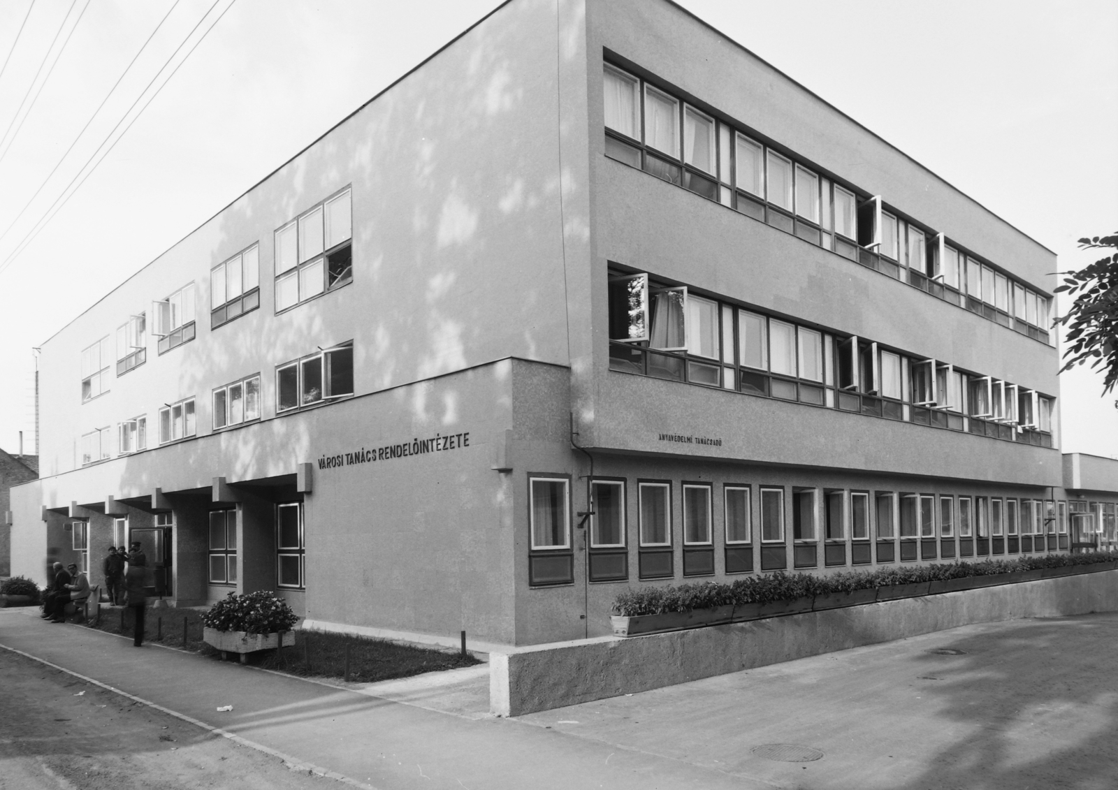 Hungary, Sátoraljaújhely, Mártírok útja, az Erzsébet Kórház rendelőintézete., 1974, Kádas Tibor, medical institution, planter, doctor's office, Fortepan #84873