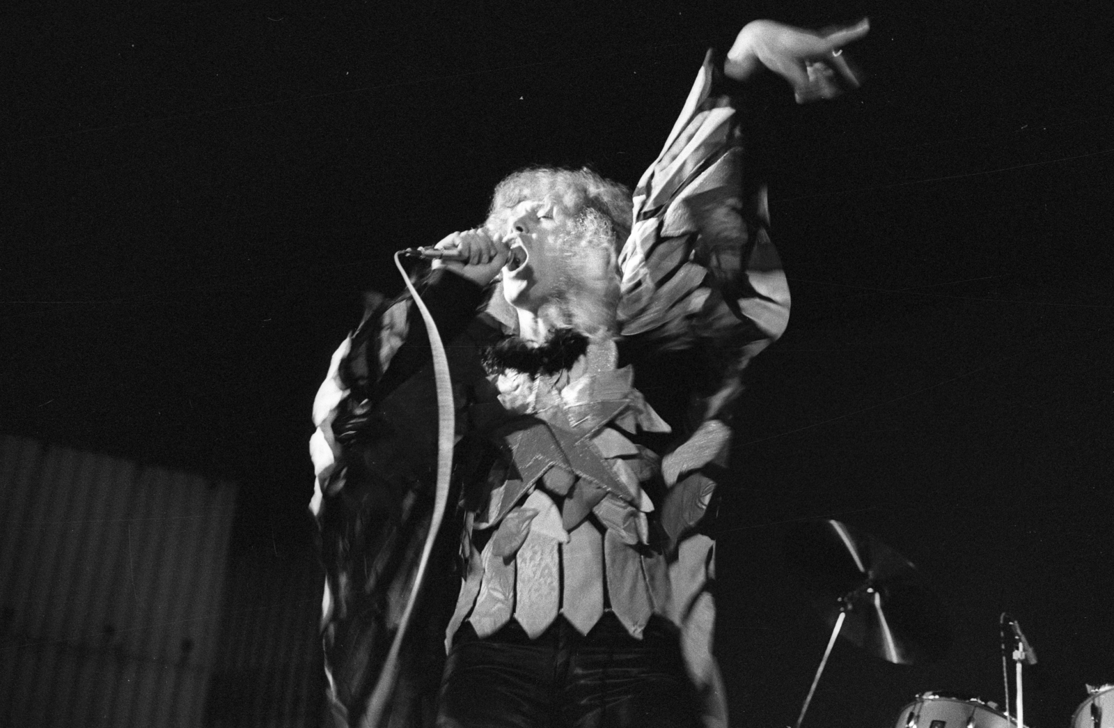 Hungary, Omega együttes, Kóbor János., 1978, Erdei Katalin, celebrity, pop music, singer, Fortepan #84924