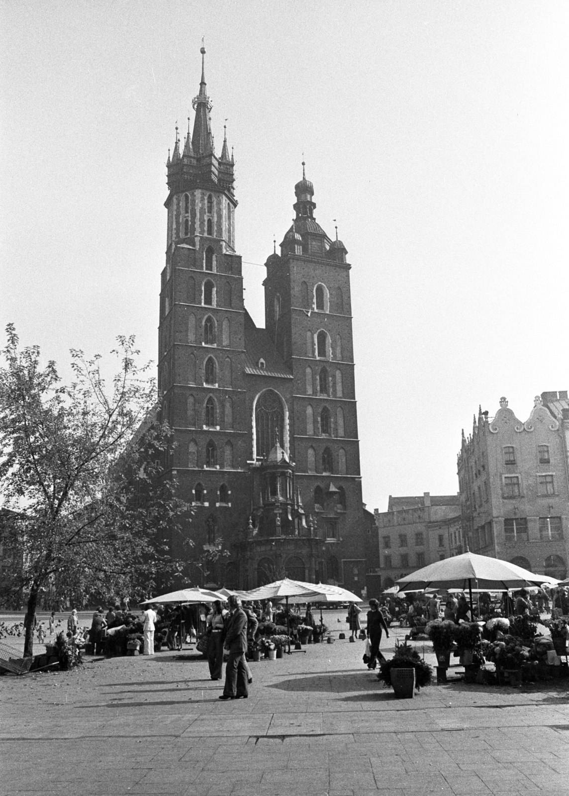 Poland, Kraków, Rynek Glówny, a város főtere, Mária-templom., 1968, Erdei Katalin, church, square, basilica, Catholic Church, tower, gothic, Brick Gothic, Fortepan #84934