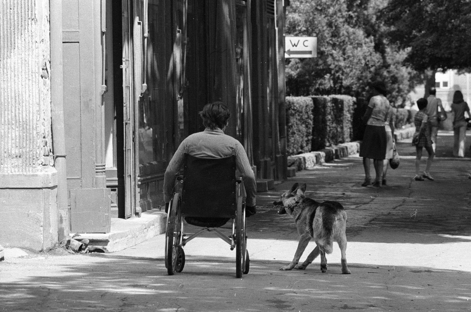 Hungary, Kőszeg, Várkör (Béke út) 39., 1976, Erdei Katalin, dog, public toilet, wheelchair, German shepherd, Fortepan #84951