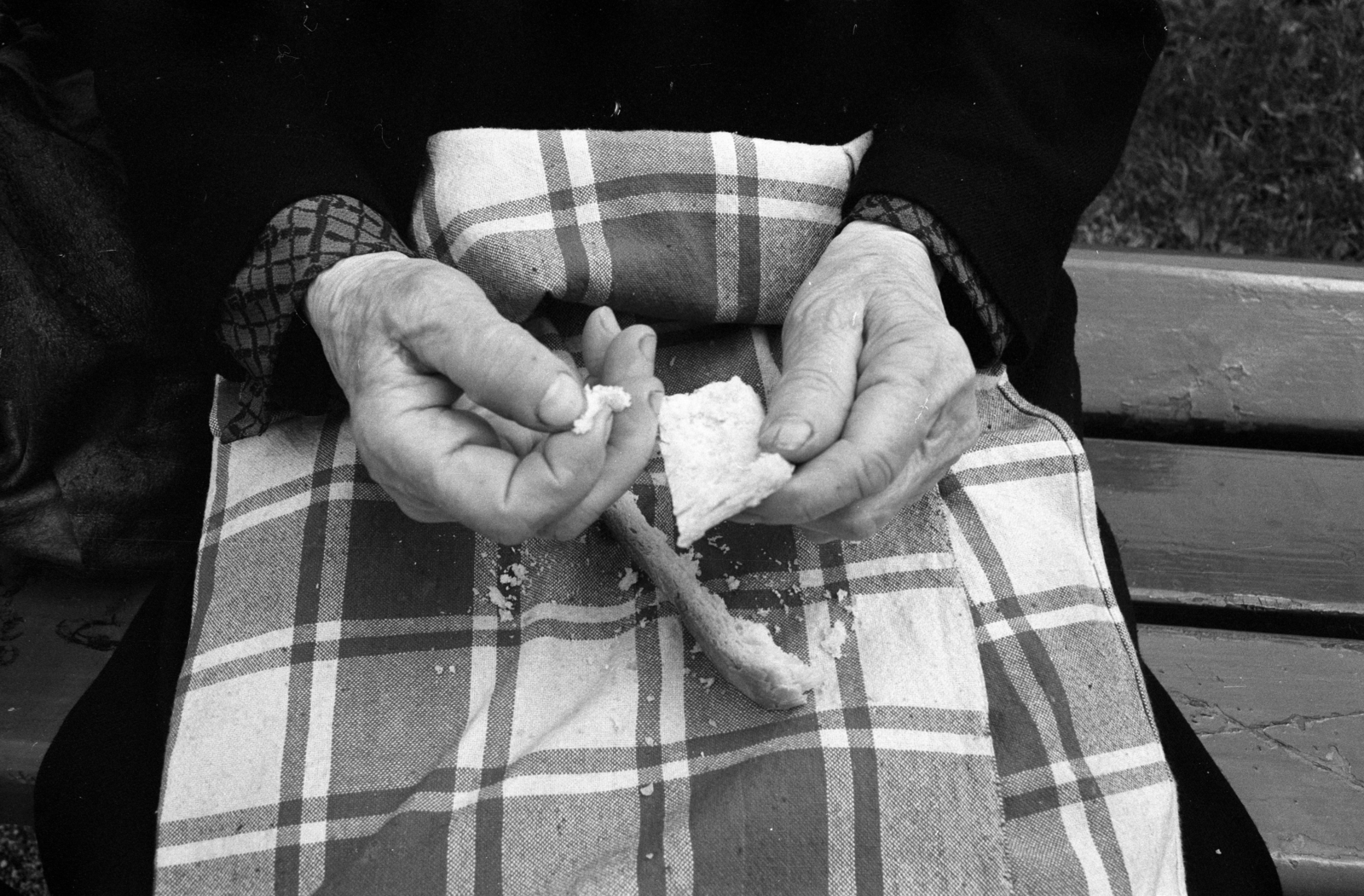 1978, Erdei Katalin, loaf of bread, wrinkled hand, Fortepan #84985