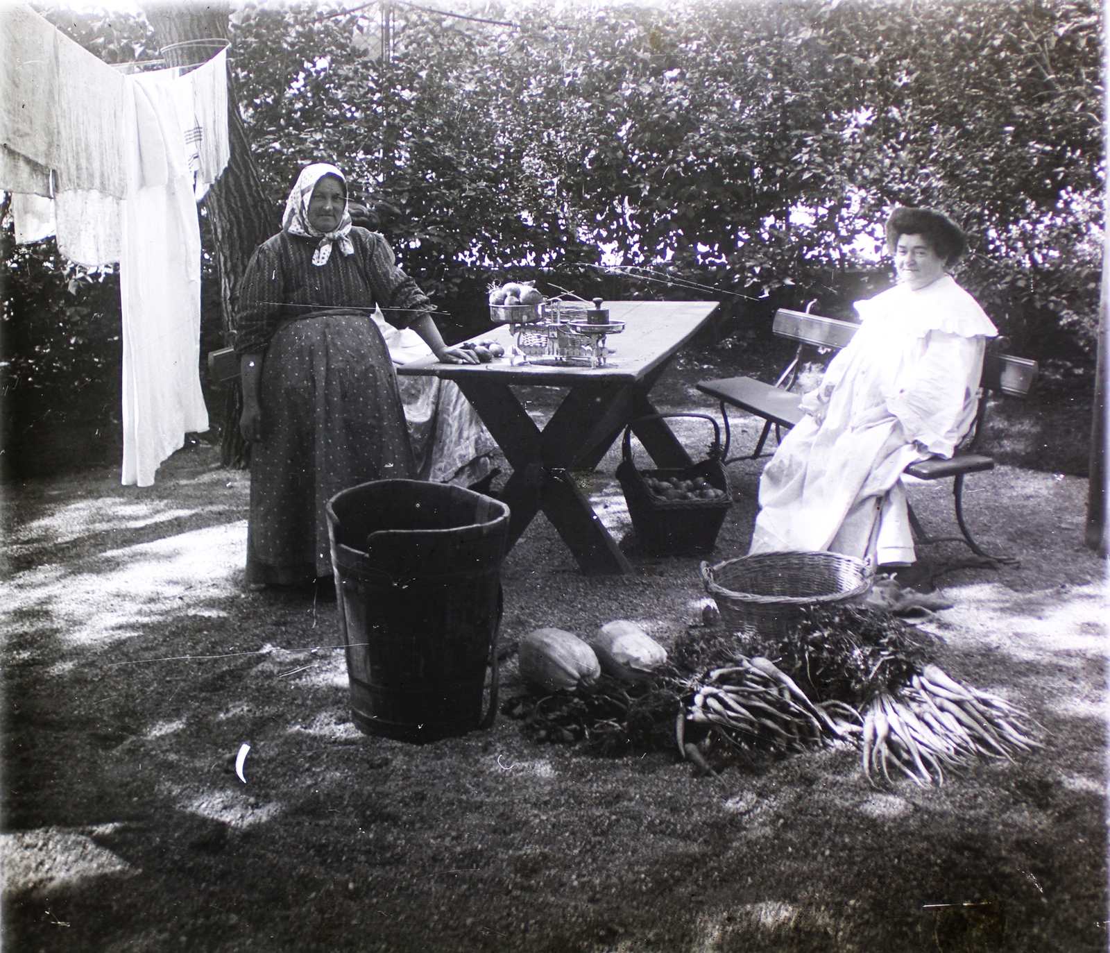 1905, Bejczy Sándor, basket, bench, wooden butte, squash, trestle table, Fortepan #85084
