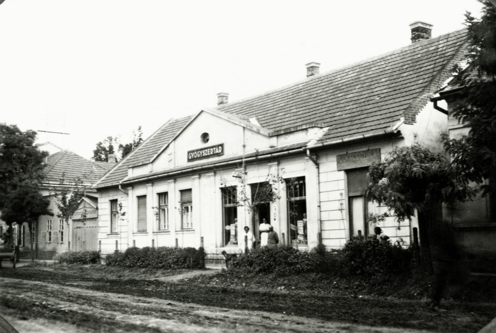 1935, Császy Alice, pharmacy, Fortepan #85174