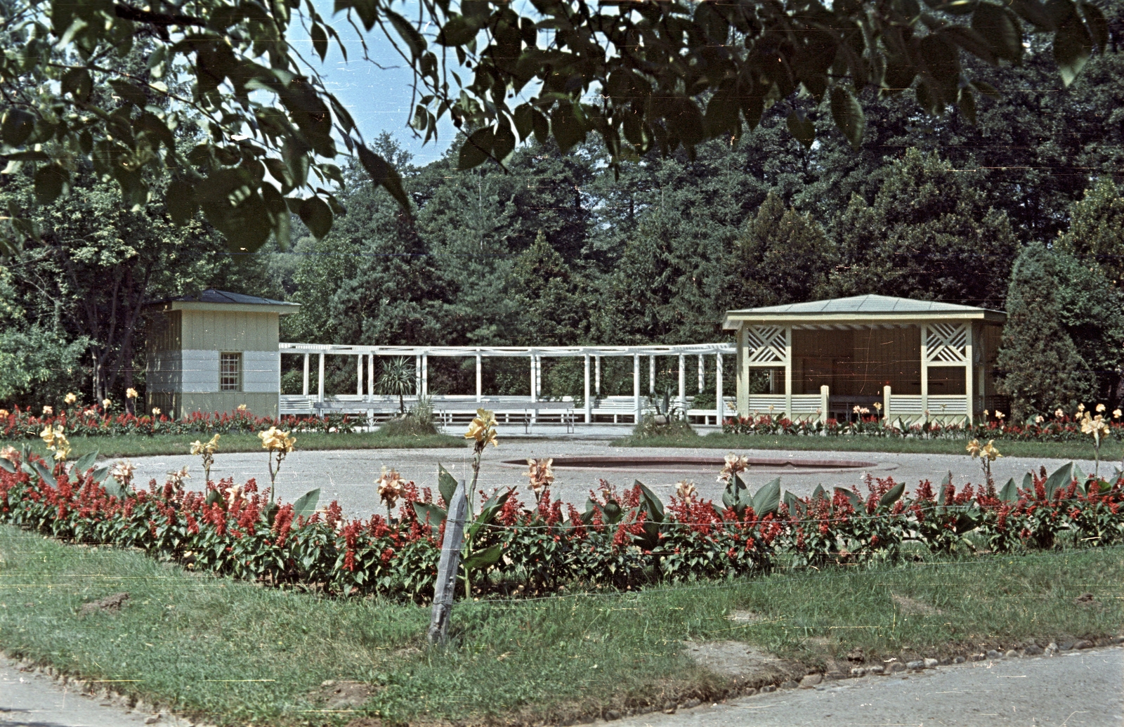 Romania,Transylvania, Cluj-Napoca, Parcul Victor Babes., 1958, Császy Alice, colorful, flower, Fortepan #85180