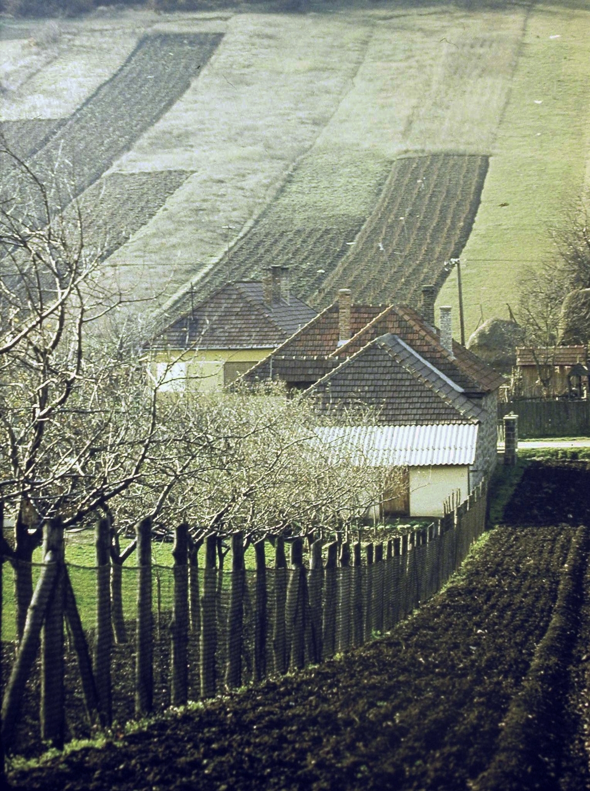 1970, Fortepan, színes, kert, tájkép, háztető, Fortepan #8520