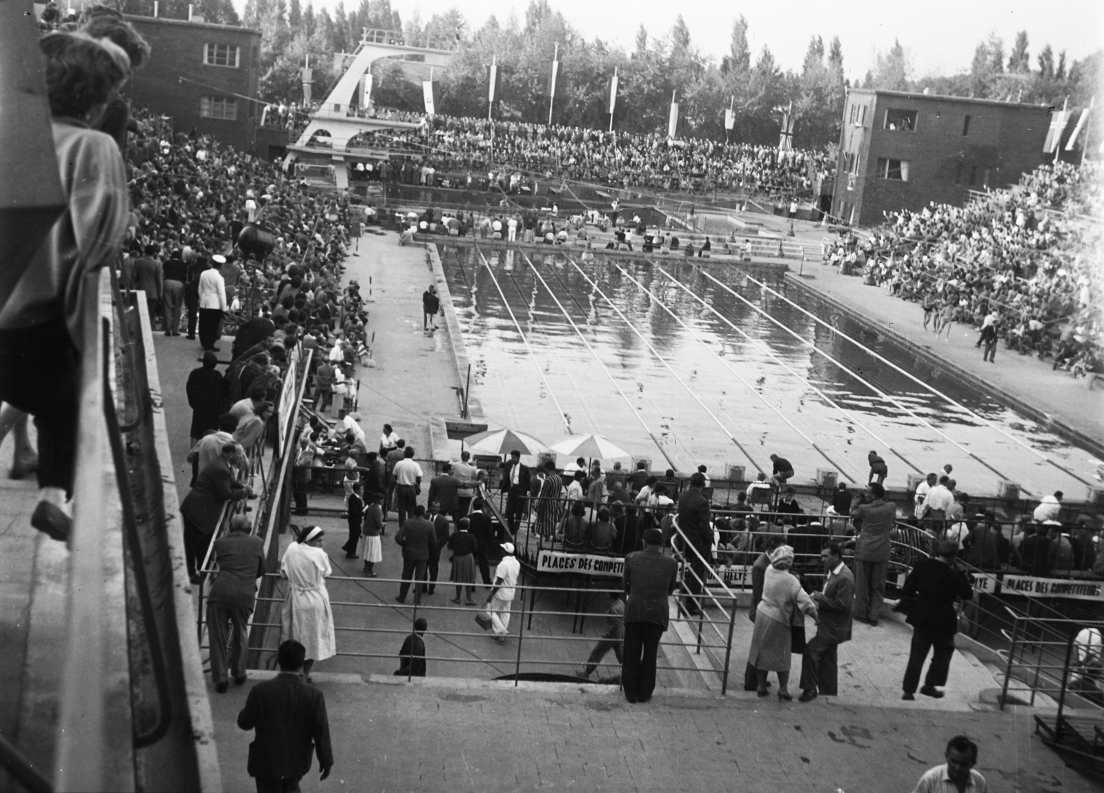 Hungary, Margit Islands, Budapest, Hajós Alfréd Nemzeti Sportuszoda., 1958, Császy Alice, swimming pool, competition, diving tower, Alfréd Hajós-design, Fortepan #85226
