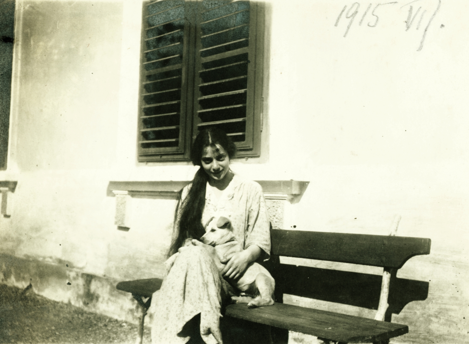 1915, Hirschler András, dog, bench, venetian blind, street furniture, Fortepan #85257