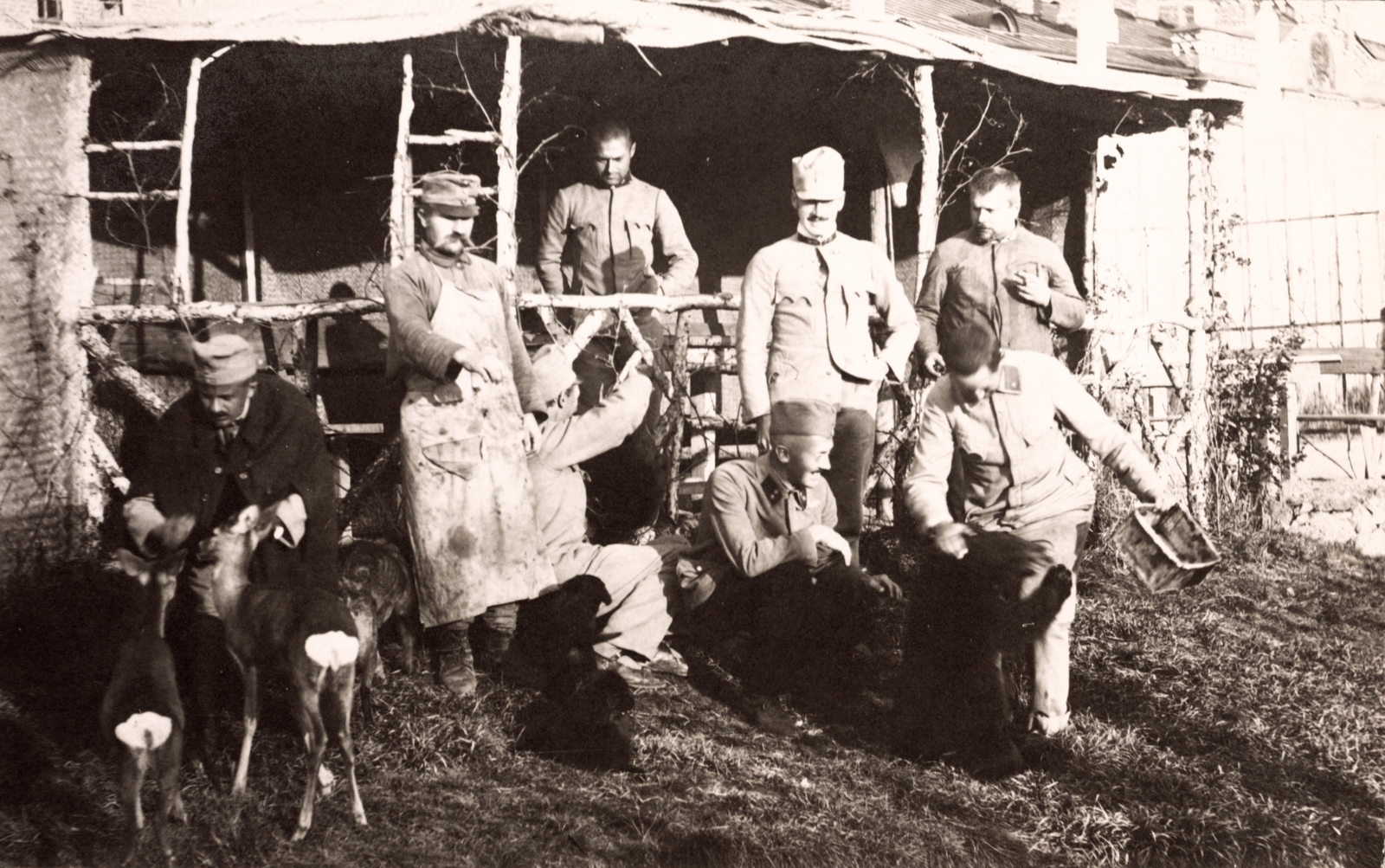 1917, Lőw Miklós, keleti front, hadifogoly, katona, őz, Fortepan #85333