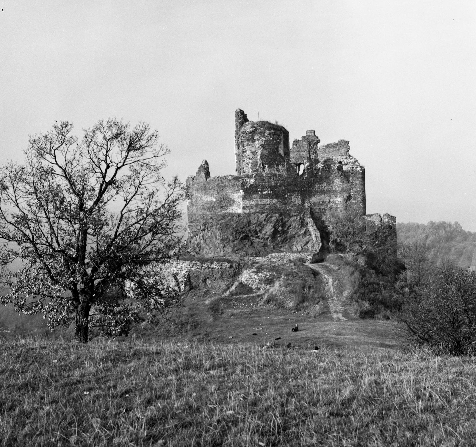 Hungary, Hollókő, Hollókői vár., 1974, Erdei Katalin, castle ruins, castle, Fortepan #85441