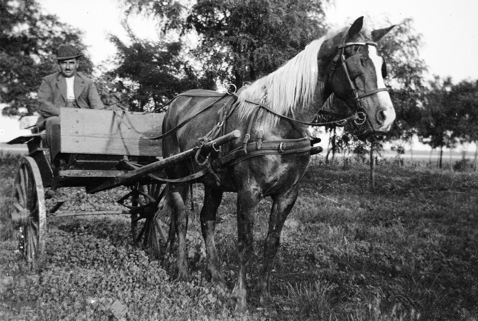 1932, Csontos András, Horse-drawn carriage, Fortepan #85510
