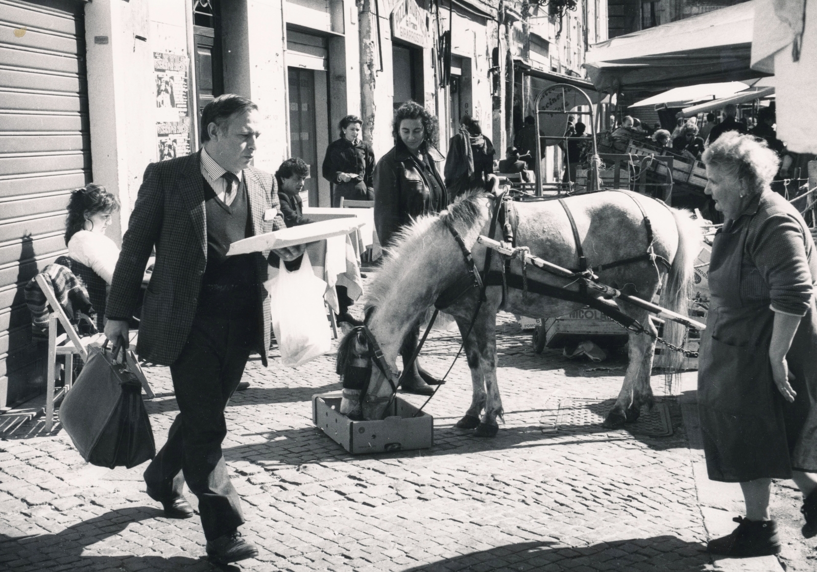 Italy, Rome, Piazza Campo de' Fiori., 1979, Székesfehérvár Városi Képtár / Deák Gyűjtemény, horse, market, Fortepan #85575