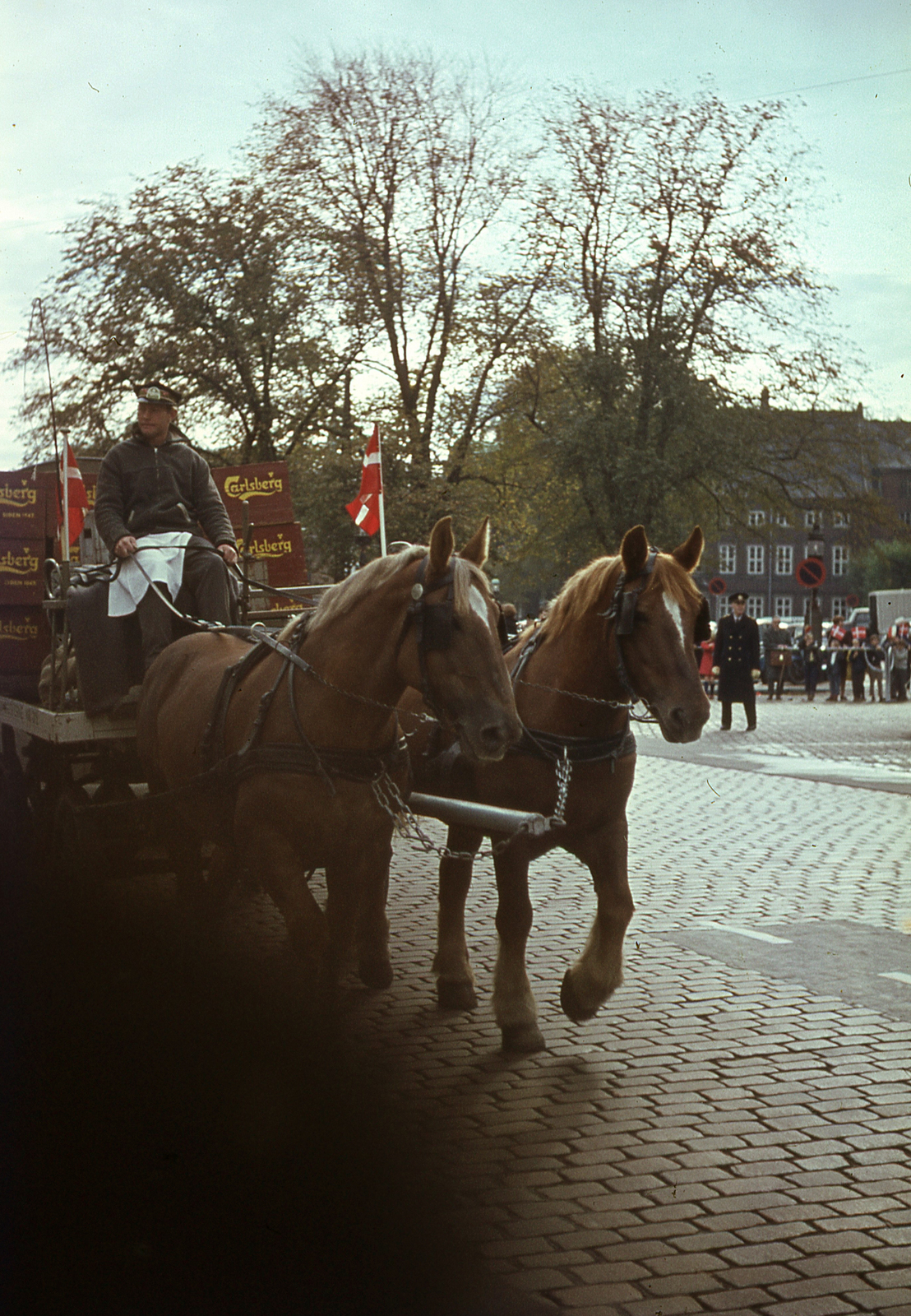 1963, Lőw Miklós, colorful, horse, coach, Fortepan #85601