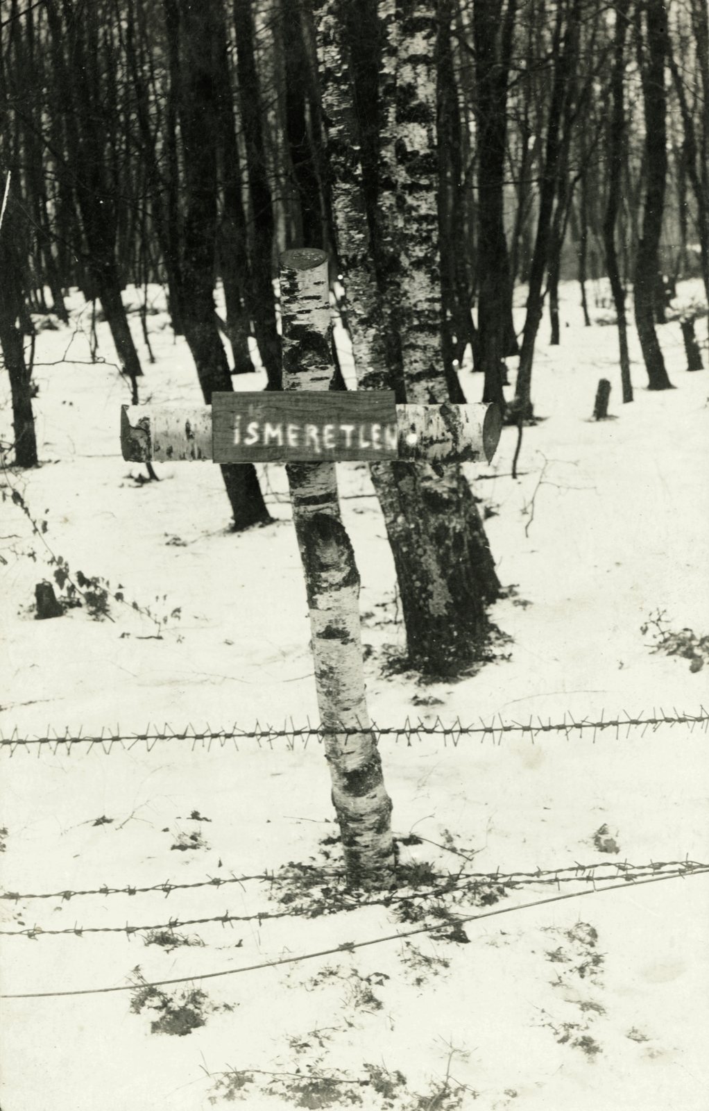 1915, Moravecz János, First World War, grave, Fortepan #85675