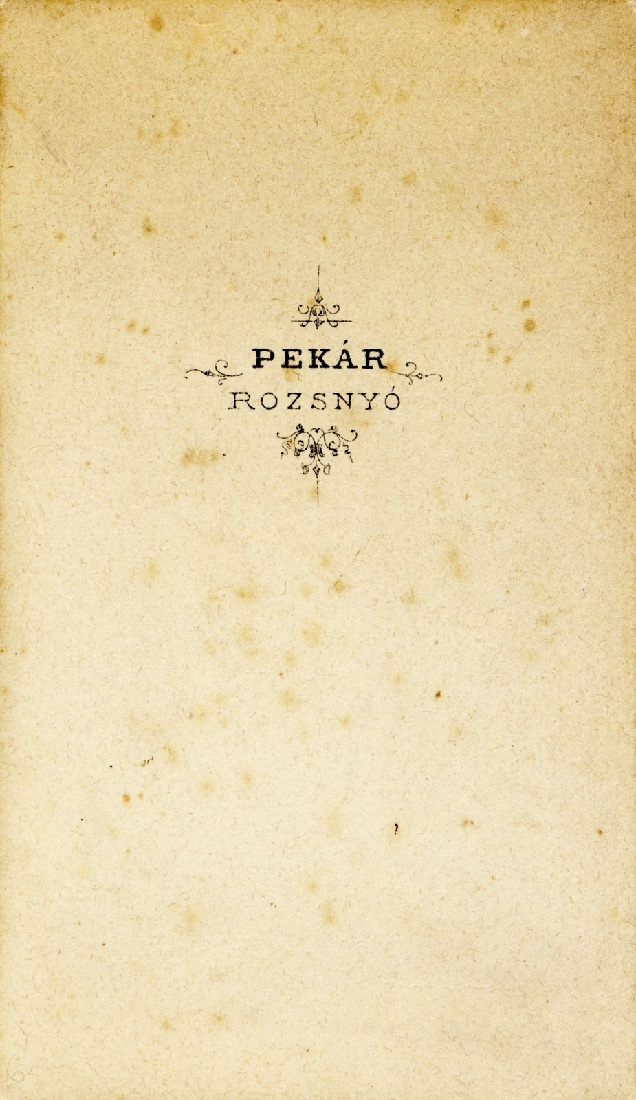 Slovakia, Rožňava, Pekár fényképész., 1900, Schermann Ákos, studio, photographer, verso, Fortepan #85835