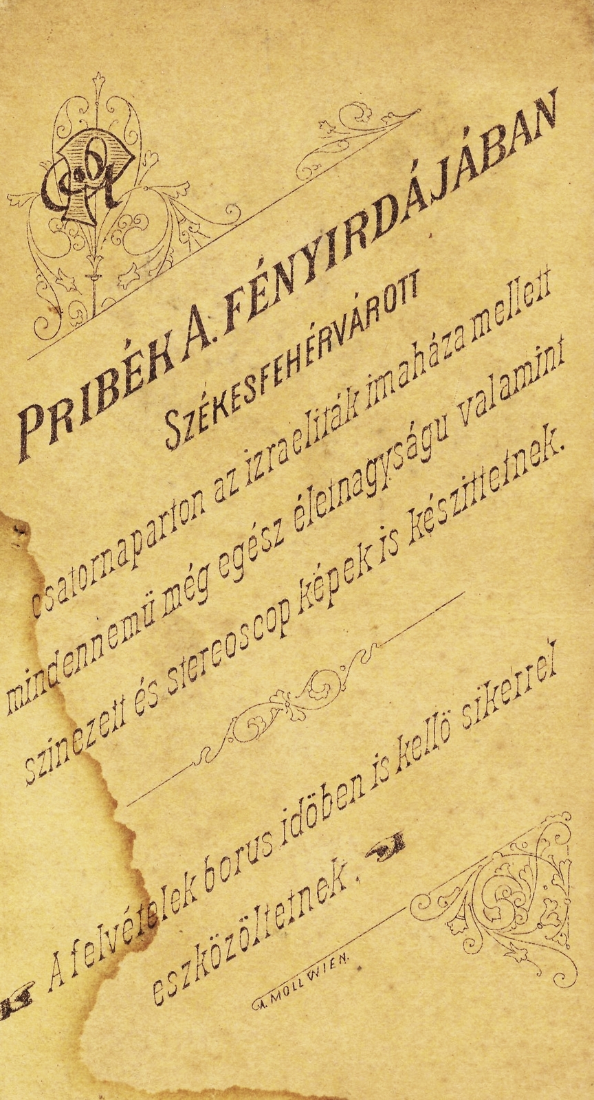 Hungary, Székesfehérvár, Várkörút, Pribék Antal fényirdája, 1910, Székesfehérvár Városi Képtár, studio, photographer, verso, Fortepan #85853