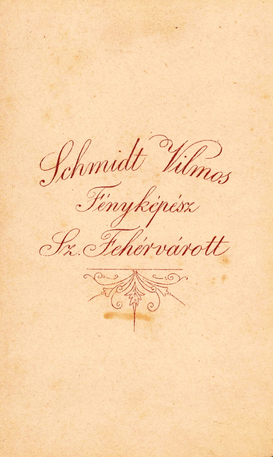 Magyarország, Székesfehérvár, Schmidt Vilmos fényképész., 1904, Székesfehérvár Városi Képtár, műterem, fényképész, hátlap, Fortepan #85857