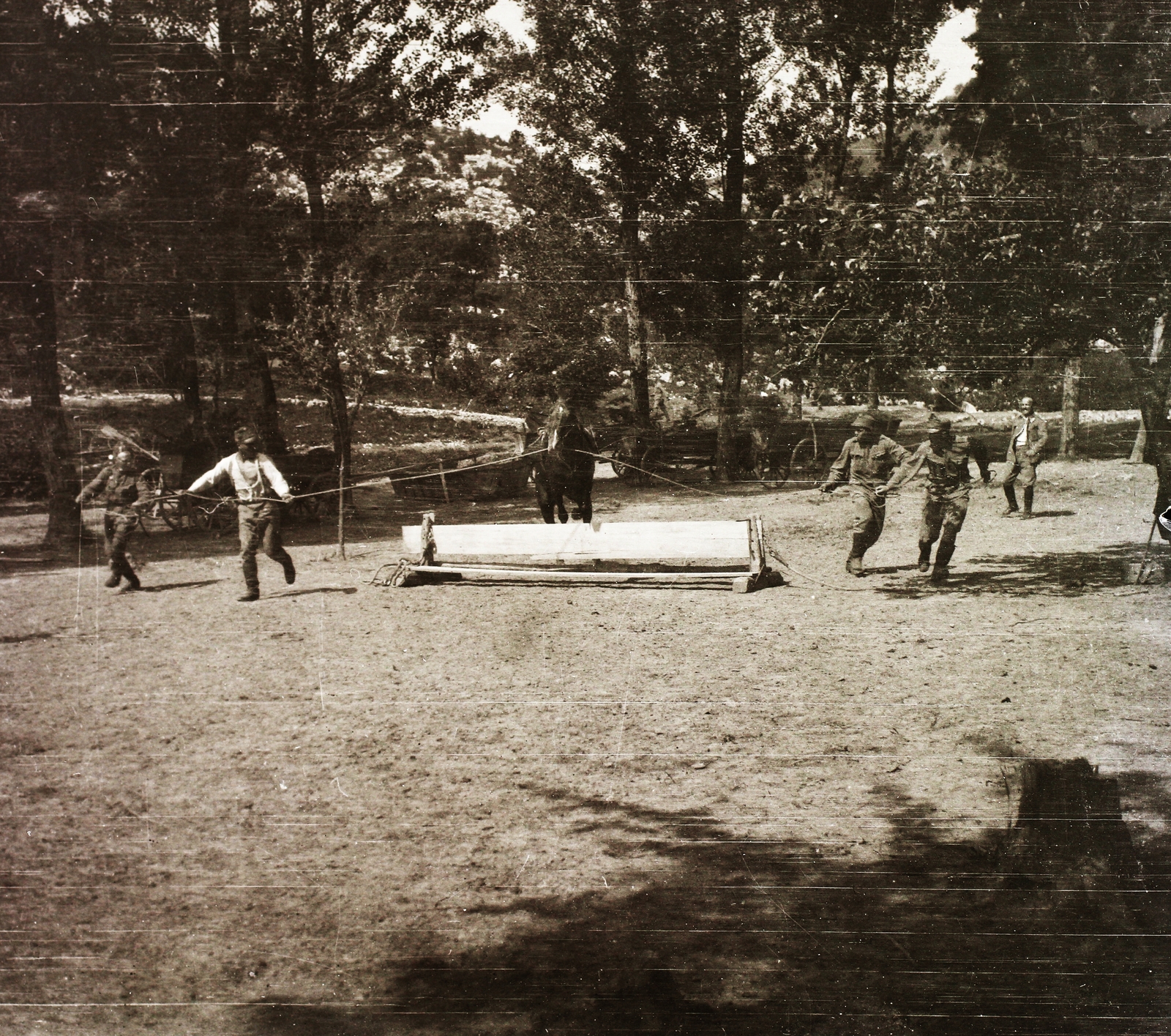1916, Schmidt Albin, ló, Fortepan #86019