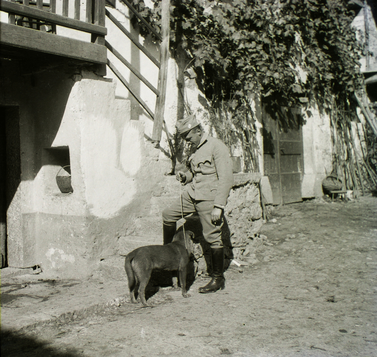 1916, Schmidt Albin, First World War, dog, soldier, Fortepan #86106