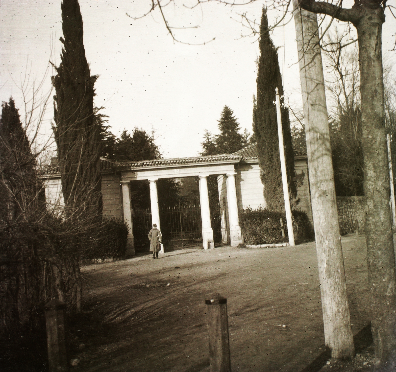 1916, Schmidt Albin, cemetery, Fortepan #86111