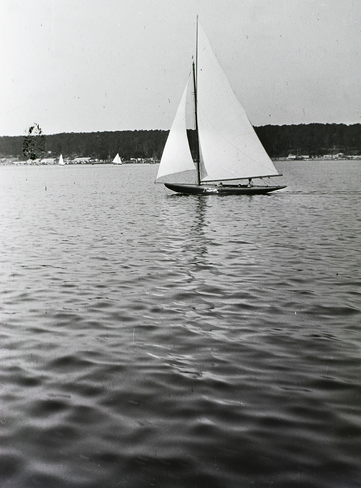 1914, Schmidt Albin, sailboat, Fortepan #86157