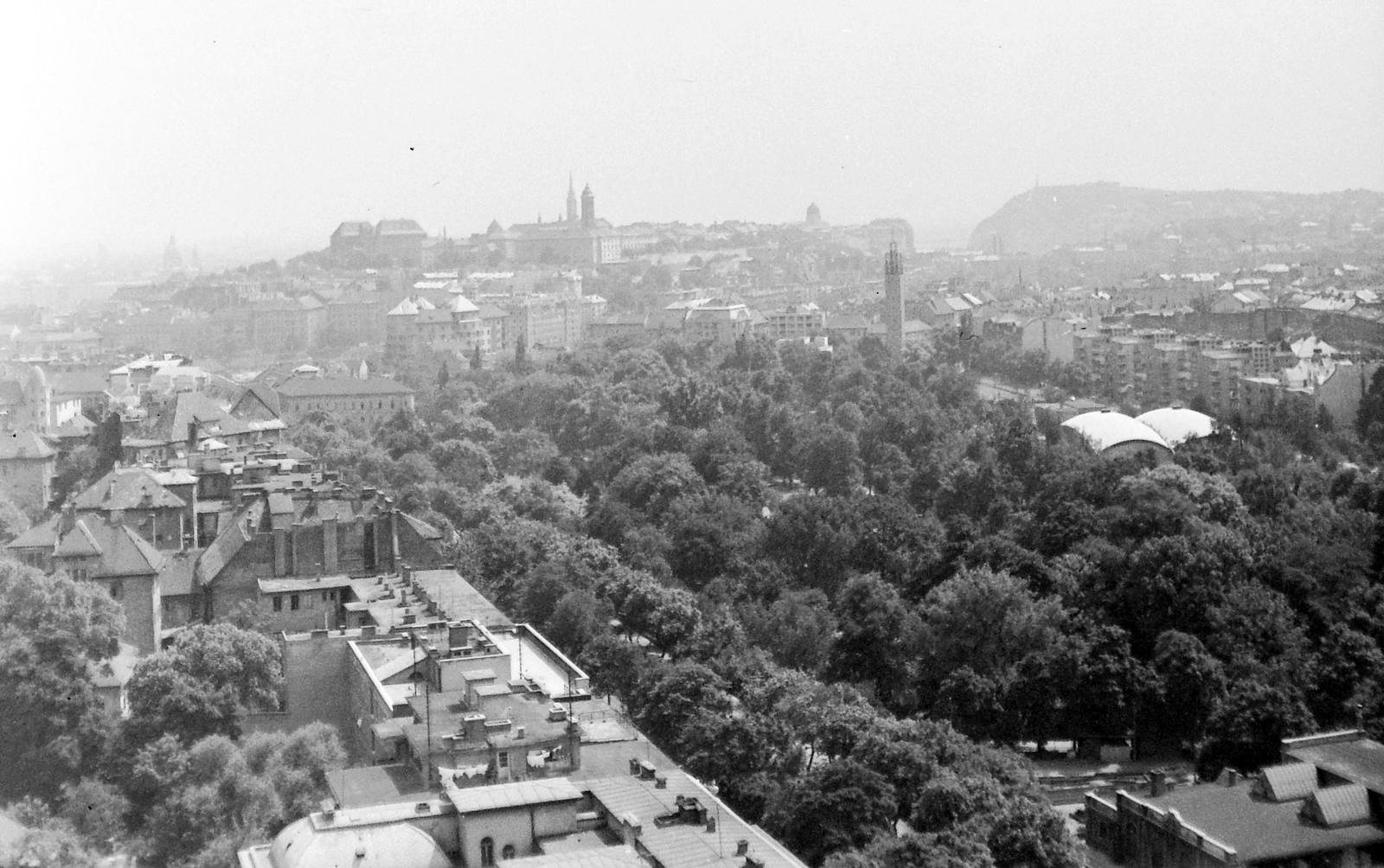 Hungary, Budapest II., kilátás a Budapest körszálló teraszáról a budai Vár és a Városmajor felé., 1969, Gyöngyi, roof, picture, view, Budapest, Fortepan #8637