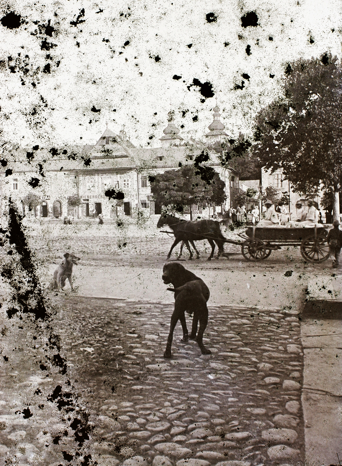 Romania,Transylvania, Baia Mare, a Rákóczi tér (Piaţa Libertăţii) déli oldala, háttérben a Szentháromság-templom tornyai., 1908, Magyar Földrajzi Múzeum / Erdélyi Mór cége, dog, Horse-drawn carriage, Fortepan #86400