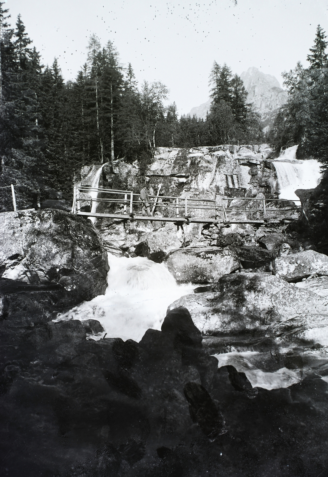 Slovakia,High Tatras, Starý Smokovec, Tar-pataki Nagy-vízesés., 1906, Magyar Földrajzi Múzeum / Erdélyi Mór cége, woods, wooden bridge, water fall, Tatra Mountains, Fortepan #86414