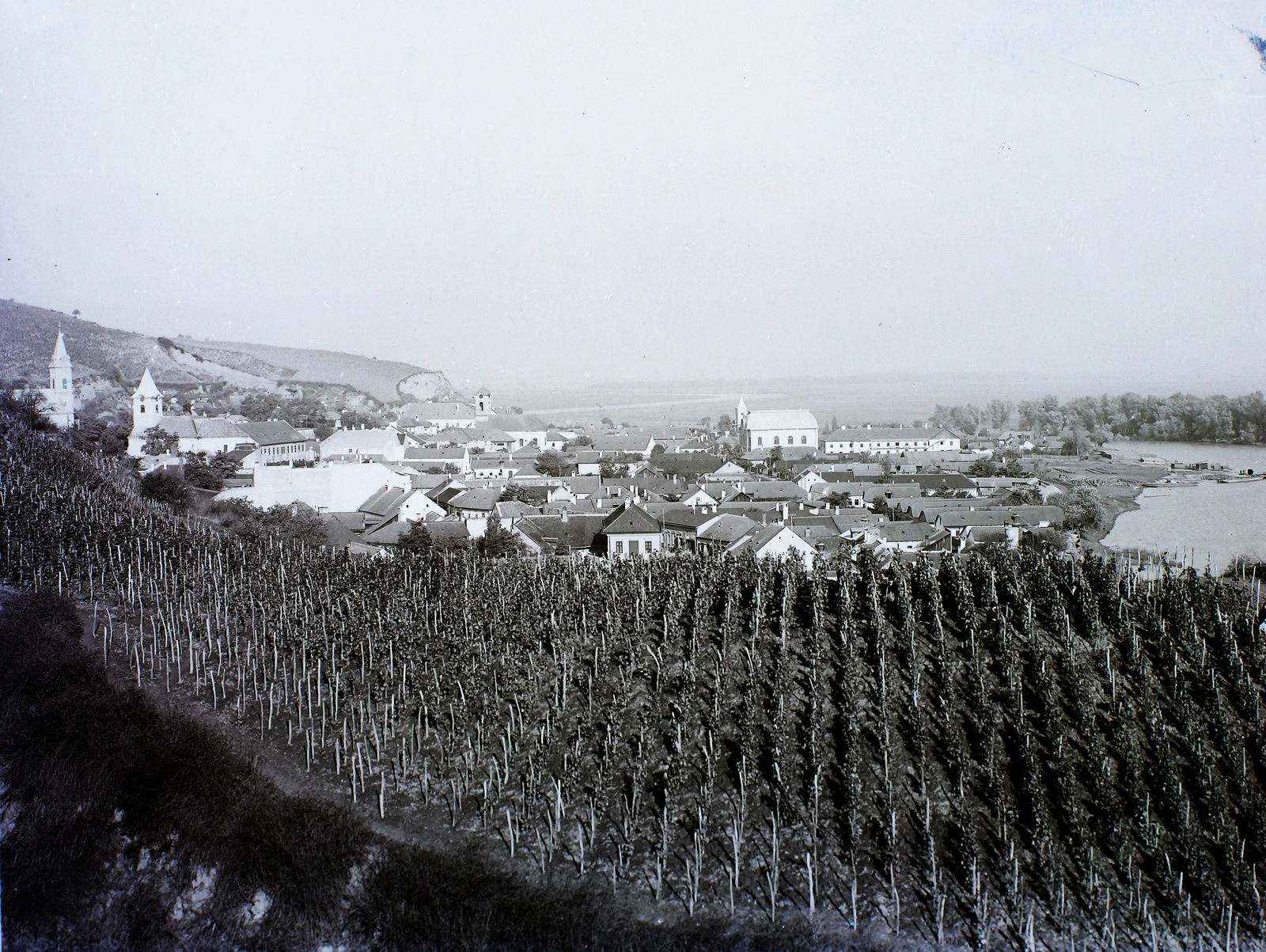 Magyarország, Tokaj, a város látképe, jobbra a Bodrog., 1908, Magyar Földrajzi Múzeum / Erdélyi Mór cége, szőlőhegy, zsinagóga, Fortepan #86439