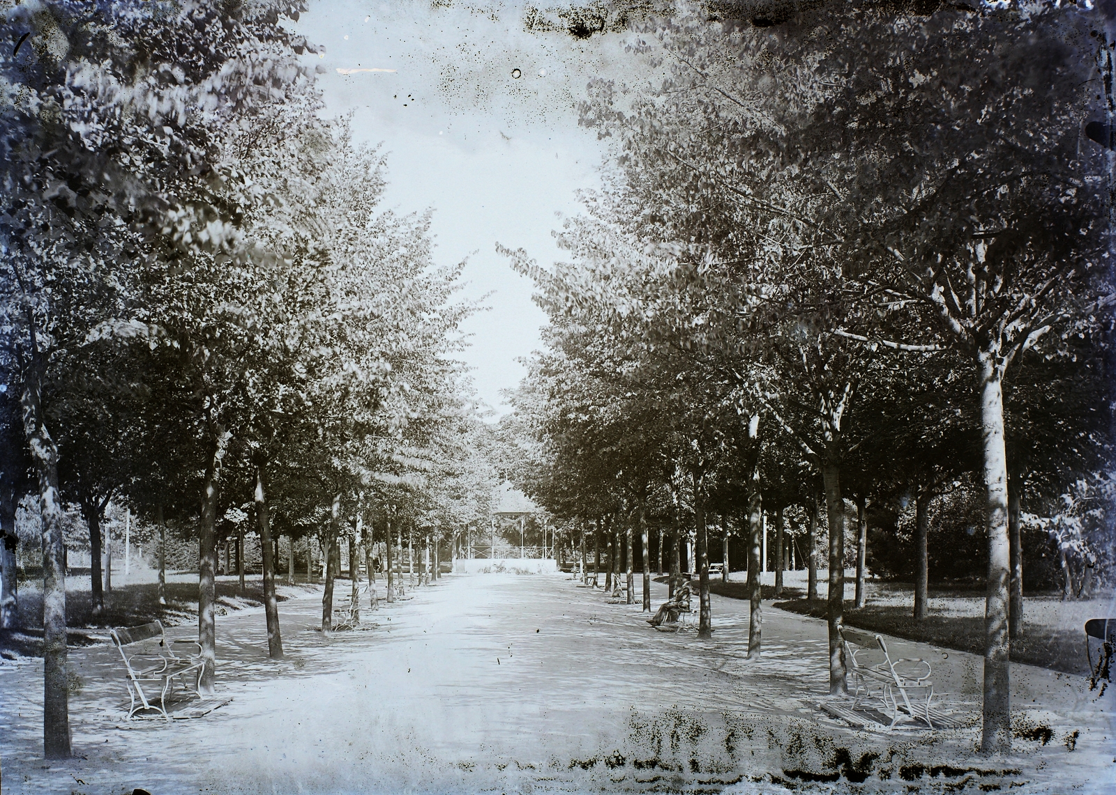 Romania,Transylvania, Băile Herculane, park., 1914, Magyar Földrajzi Múzeum / Erdélyi Mór cége, alley, bench, Fortepan #86529