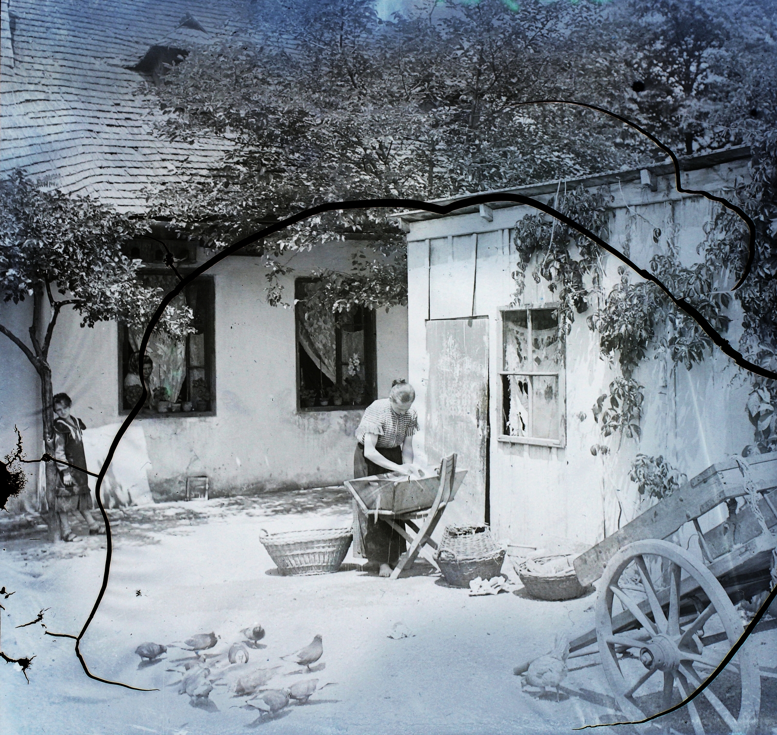 1910, Magyar Földrajzi Múzeum / Erdélyi Mór cége, mosás, Fortepan #86755