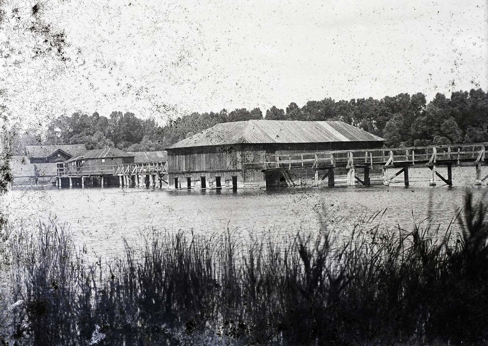 Magyarország, Hévíz, Tófürdő., 1900, Magyar Földrajzi Múzeum / Erdélyi Mór cége, sérült kép, stég, Fortepan #86798