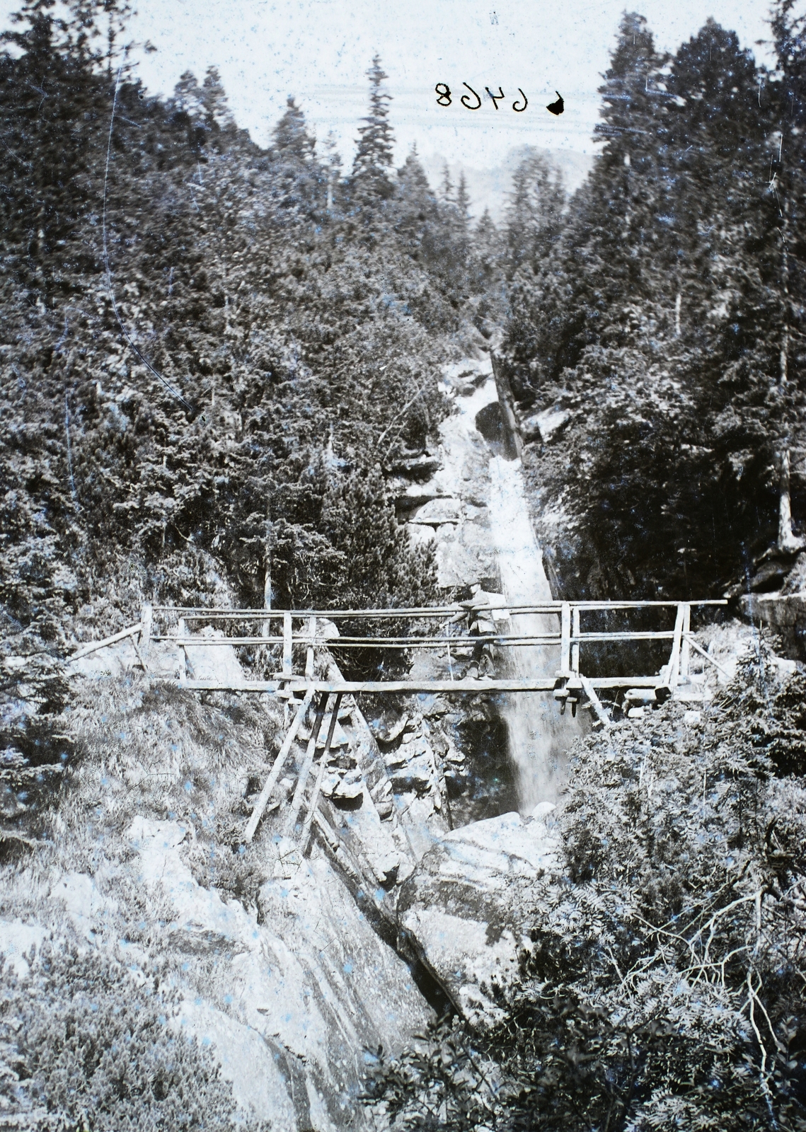 Szlovákia,Magas-Tátra, fahíd a kis Tar-patak felett az Óriás-vízesésnél., 1911, Magyar Földrajzi Múzeum / Erdélyi Mór cége, erdő, fahíd, vízesés, Tátra hegység, Fortepan #86840