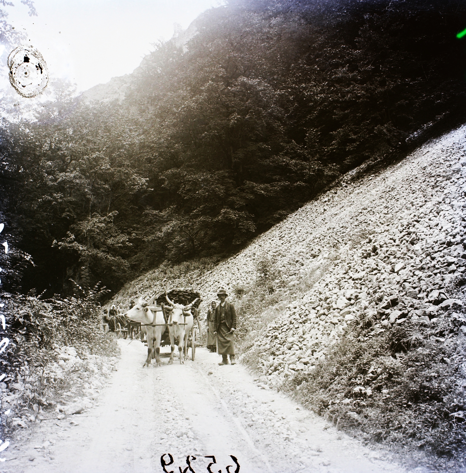 1906, Magyar Földrajzi Múzeum / Erdélyi Mór cége, Tátra hegység, Fortepan #86847