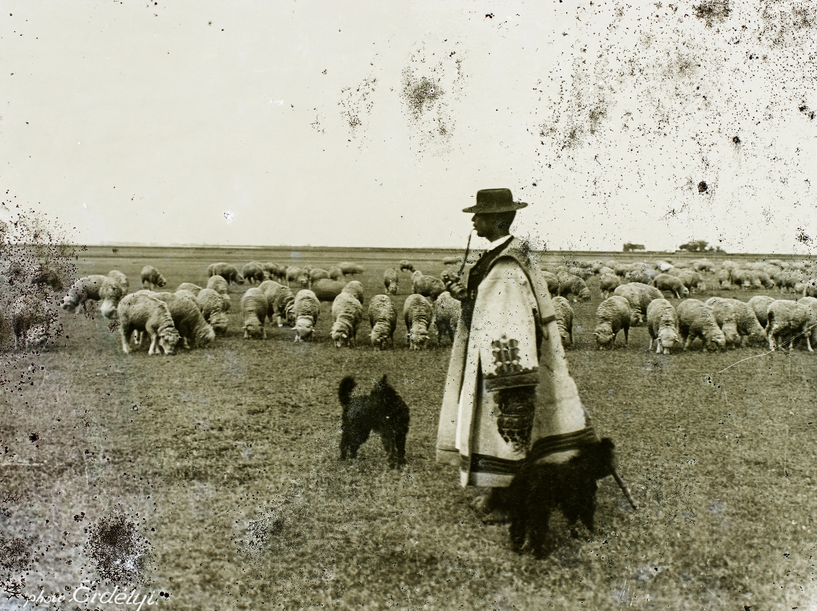 Magyarország, Hortobágy, juhász., 1908, Magyar Földrajzi Múzeum / Erdélyi Mór cége, pipa, juh, pásztor, nyáj, szűr, pásztorkutya, cifraszűr, pumi, Fortepan #86883