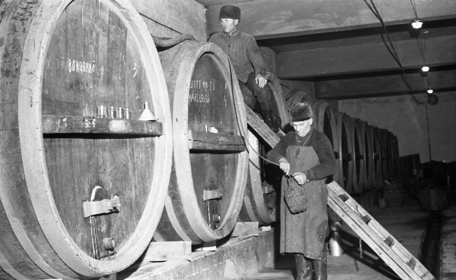 Hungary, Újhartyán, az Új Élet szakszövetkezet borászata., 1970, Urbán Tamás, winery, men, barrel, demijohn, Fortepan #87106