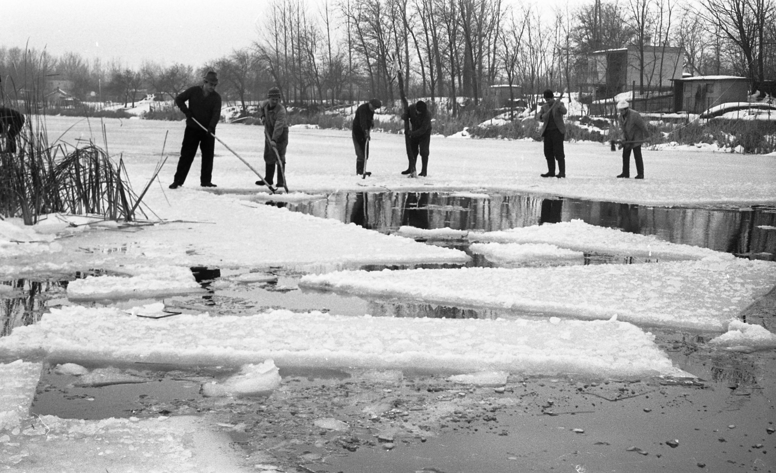 Hungary, Szigethalom, Ráckevei (Soroksári)-Duna, jégtáblák kitermelése, melyeket a Taksonyi Földműves Szövetkezet vermeibe szállítanak., 1970, Urbán Tamás, ice cutting, Fortepan #87107