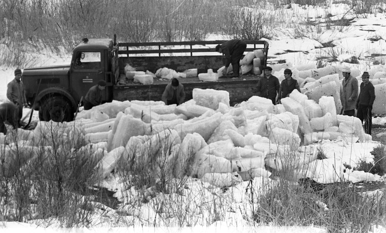 Magyarország, Szigethalom, Ráckevei (Soroksári)-Duna, jégtáblák kitermelése, melyeket a Taksonyi Földműves Szövetkezet vermeibe szállítanak., 1970, Urbán Tamás, jégtábla, jég, Csepel 130, jégvágás, jégszállítás, kihalt mesterség, Best of, Fortepan #87108